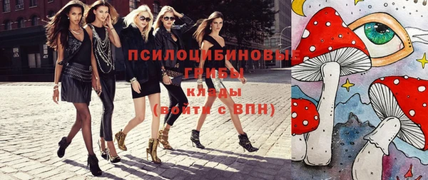 apvp Медногорск