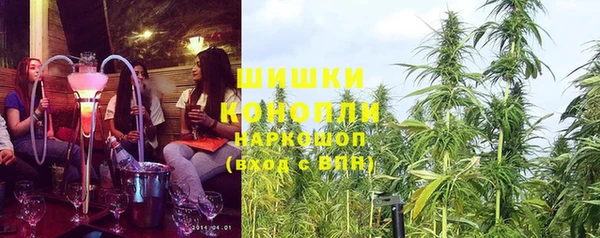 apvp Медногорск