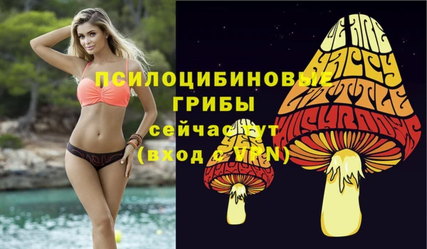 apvp Медногорск