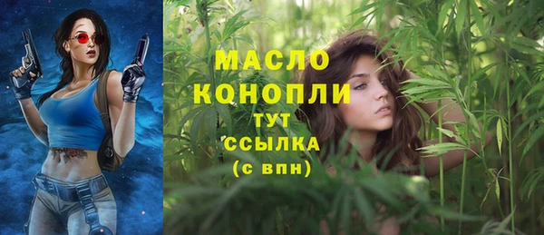 apvp Медногорск