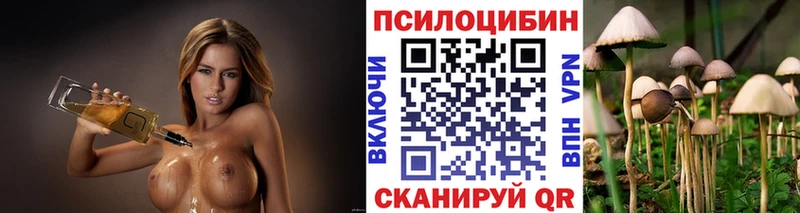 Псилоцибиновые грибы ЛСД  Орлов 