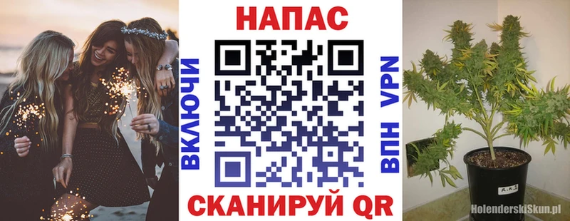 где купить наркоту  Орлов  МАРИХУАНА гибрид 